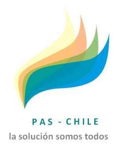 pas-chile-nuevo-eslogan4